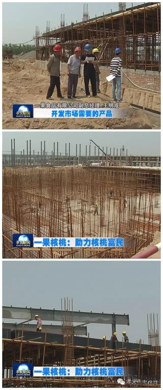 一果核桃深加工项目：助力核桃富民 建设稳步推